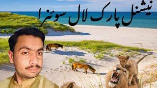 My tarip on national park || National park lal sonara || Bilal khokhar vilog