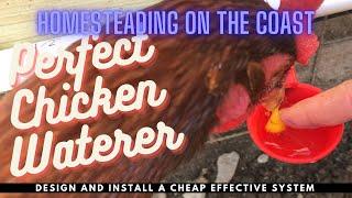 The Perfect Chicken Watering System