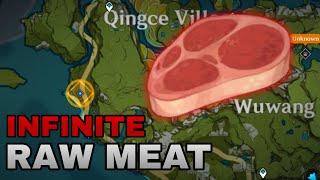 Patch 1.2 Infinite Raw Meat Farming Guide | Genshin Impact