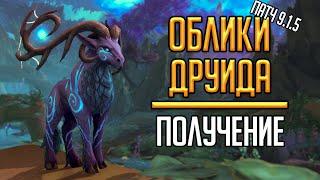 ОБЛИКИ ДРУИДА - получение всех обликов друида в патче 9.1.5 Shadowlands