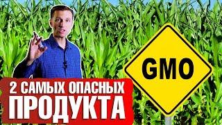Продукты, содержащие ГМО ► Чем опасны соя и кукуруза? 