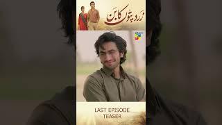 Zard Patton Ka Bunn - Last Ep 25 Teaser #sajalaly #hamzasohail #humtv #pakistanidrama