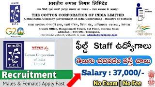 Shortlist అయితే చాలు 99% జాబ్ Confirm | No Exam, No Fee || CCI Recruitment 2024 || central govt jobs