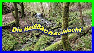 Spannende Tour durch die Heißbachschlucht im Kleinen Wiesental | Südschwarzwald | 10 KM