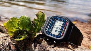 Часы Casio w-59-1сравнение с Casio F-91-W, почему бен Ладен выбрал вторые?