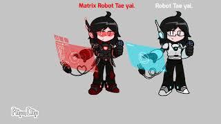 Matrix Robot TAE YAI