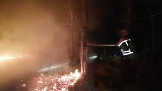 Павлоградський район: співробітники ДСНС разом з лісниками ліквідували пожежу у лісовому масиві