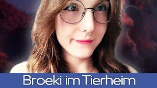 Broeki im Tierheim