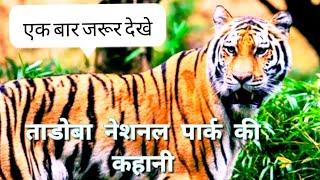 FACTS ABOUT TADOBA NATIONAL PARK | tadoba | facts tadoba national park in hindi |