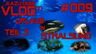 Urlaub in Stralsund - Teil 3 - Besuch im Ozeaneum [Vlog] #009