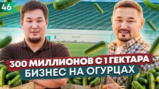 Как Построить Миллиардный Бизнес На Огурцах