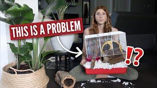 The Problem with Small Hamster Cages