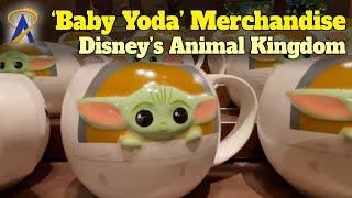 'Baby Yoda' And 'The Mandalorian' Merchandise At Disney's Animal Kingdom Park