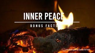 The Best Fireplace with Crackling Fire Sounds | Relaxing | Laser Focus | Deep Sleep | Bonus Fact