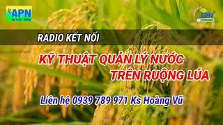 KỸ THUẬT QUẢN LÝ NƯỚC TRÊN RUỘNG LÚA #kythuatquanlynuoc