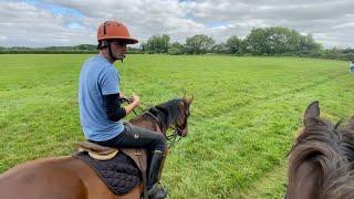 New Horse! Can She be my Next Polo Pony? | Equestrian