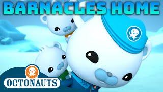 @Octonauts - ‍️ Barnacles Goes Home  | 80 Mins+ Compilation | Underwater Sea Education