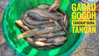 Tangkap Ikan Dalam Lumpur Tak Sangka Hasilnya Besar!!