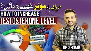 Testosterone importance and how to increase it's level