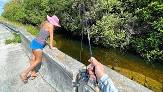 Fishing for ANYTHING in Everglades Roadside Canal