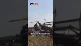 KSAD Maruli Simanjuntak #tni #tniad #tniindonesia #ksad #marulisimanjuntak #tentara #petani #serbaid