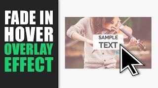 Fade In Hover Overlay Effect on Image Tutorial using HTML and CSS