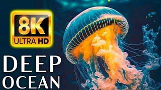 THE DEEP OCEAN | 8K TV ULTRA HD Dolby Vision - SEA ANIMALS 8K ULTRA HD (60FPS HDR10+)
