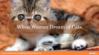 Cats in a Dream and the Meaning of Dreams About Cats
