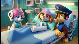 Paw Patrol Ultimate Rescue - SKYE Mermaid Got Sick?! Please Don't Give Up!! Sad Story - Rainbow 3