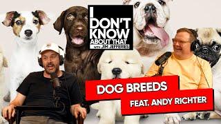 We don't deserve dogs... feat. Andy Richter | I Don't Know About That with Jim Jefferies #199