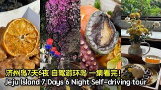 济州岛自驾游环岛一集看完 7天6夜教你怎么玩韩国济州岛 Jeju Island 7 Days 6 Nights Self Driving Tour