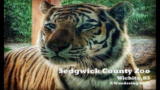 Sedgwick County Zoo – Wichita, KS: Wandering Walks of Wonder Slow TV Walking Tour 4K