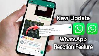 WhatsApp Reaction Feature | New WhatsApp Reaction Update 2022 and How WhatsApp Reactions Work