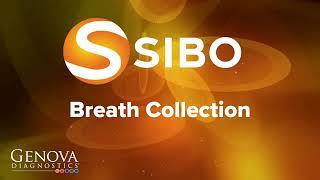 SIBO Breath Collection