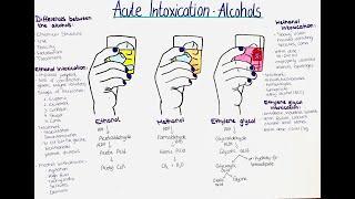 The Dangers of Alcohol Intoxication: Ethanol, Methanol, and Ethylene Glycol