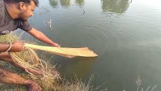 Amazing Cast net fishing video in village pond |  @NaturalFishingBD @bdfishing1086