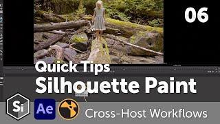 Quick Tips for Silhouette Paint: Cross-Host Workflows