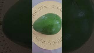 dime con que te comería tu este rico aguacate