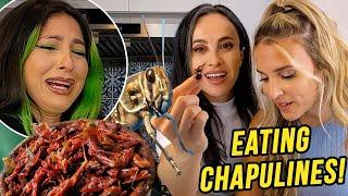 Eating Chapulines (Mexican Grasshoppers)