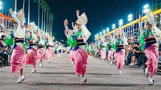 Japan's Traditional Dance Festival Awa Odori | 2024 Awaodori in Tokushima