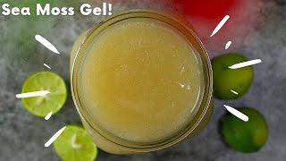 Easy SEA MOSS GEL | How to Make Sea Moss Gell for Alkaline Diet & Hair Care | Irish Moss  🪸