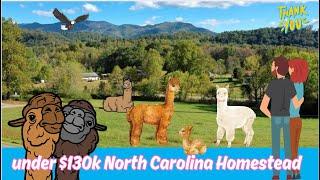 Under $130k NORTH CAROLINA Homestead for ALPACAS 