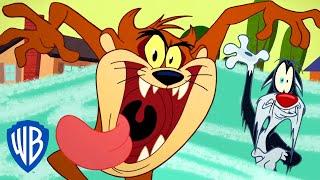 Merry Melodies: 'Tasmanian Meltdown' ft. Tasmanian Devil | Looney Tunes SING-ALONG | WB Kids