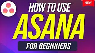 How To Use Asana For Beginners