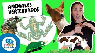 ANIMALES VERTEBRADOS para Niños  | Con Lenguaje de Signos  | @HappyLearningES