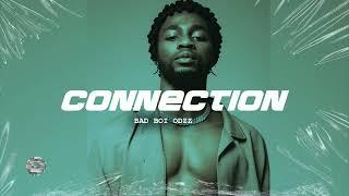 "CONNECTION" Omah Lay X Buju X Rema Type Beat. Afrobeat type beat 2024