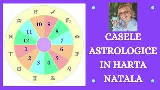 CASELE ASTROLOGICE in harta natala - Unde imi concentrez atentia? | Astrolog Luminita Ristea