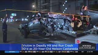 Nelson Castaneda, 20, killed in hit-and-run in Canoga Park; Suspect seen running from area on foot