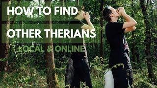 How to find other therians? || Local & Online