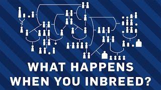 What Happens When You Inbreed? | Earth Science